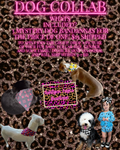 Mystery Dog Bandannas